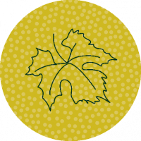 Weißweine